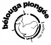 BELOUGA PLONGEE