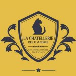 LA CHATELLERIE DES FLANDRES - PENSION FÉLINE
