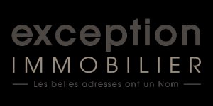 EXCEPTION IMMOBILIER