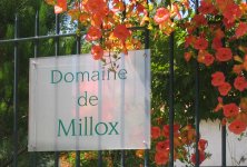 DOMAINE DE MILLOX