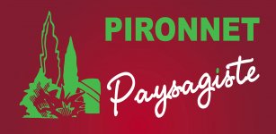 PIRONNET SERVICES