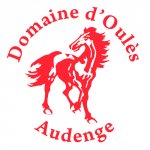 DOMAINE D'OULES