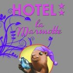 HOTEL DE LA MARMOTTE
