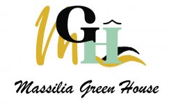 MASSILIA GREEN HOUSE ET MARSEILLE PLONGEE