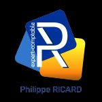 RICARD PHILIPPE EXPERT - COMPTABLE