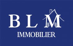 BLM IMMOBILIER