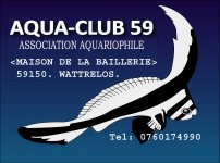 AQUA-CLUB 59