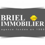 BRIEL IMMOBILIER