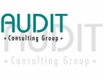 AUDIT CONSULTING GROUP