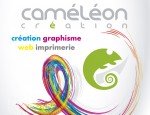 CAMELEON CREATION