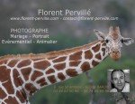 PERVILLE- FLORENT.COM