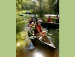 ALSACE CANOES