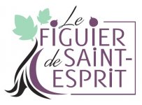 LE FIGUIER DE SAINT ESPRIT