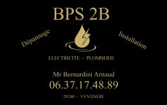 BPS 2B