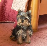 ELEVAGE DU LAC DES GARENNES