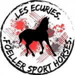 FOELLER SPORT HORSES