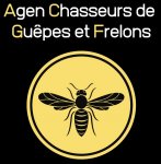 AGEN CHASSEURS DE GUEPES ET FRELONS A ESTILLAC