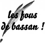 LES FOUS DE BASSAN