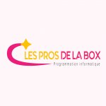 LES PROS DE LA BOX