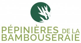 LES PEPINIERES DE LA BAMBOUSERAIE - BAMBUSA