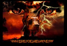 LES YEUX DE LA REVANCHE