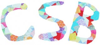 CENTRE SOCIAL BOURGOGNE