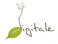 DIGITALE FLEURISTE