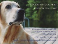 CANNELLE ET COMPAGNIE 88