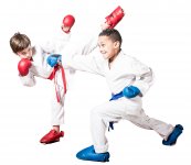 KARATE CLUB D'OCTEVILLE SUR MER