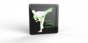 VAILLANTE KARATE