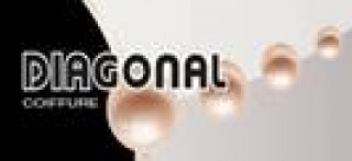 EURL EMILIE GUILLEMIN DIAGONAL COIFFURE