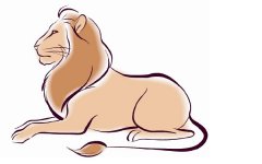 CRIJOLIONS DECORATION