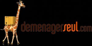 DEMENAGERSEULCOM