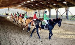FERME EQUESTRE ZUM BLAUE