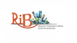 ASSOCIATION REUSSIR L'INSERTION A BRON