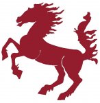 CENTRE EQUESTRE DE LA COMBE DU BION