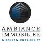 AMBIANCE IMMOBILIER