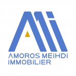 AMOROS MEIHDI IMMOBILIER