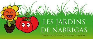 EARL JLM GILLES   LES JARDINS DE NABRIGAS