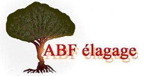 ABF ELAGAGE