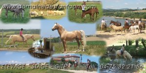 DOMAINE DES FANFAONS