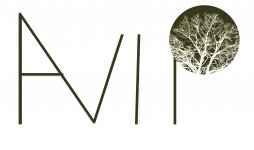 AMELIE VIDAL INGENIEUR PAYSAGISTE