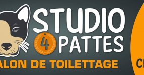 STUDIO 4 PATTES