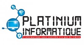 PLATINIUM INFORMATIQUE SERVICES