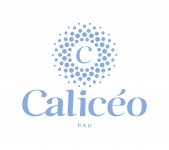 CALICEO