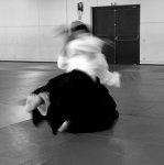 AIKIDOJO NÎMES COSTIÈRES