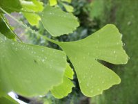 GITE CH D'HOTES HARMONIES