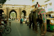 ZONE LIBRE ORIENT SHOP