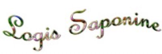 LOGIS SAPONINE