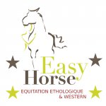 EASY HORSE